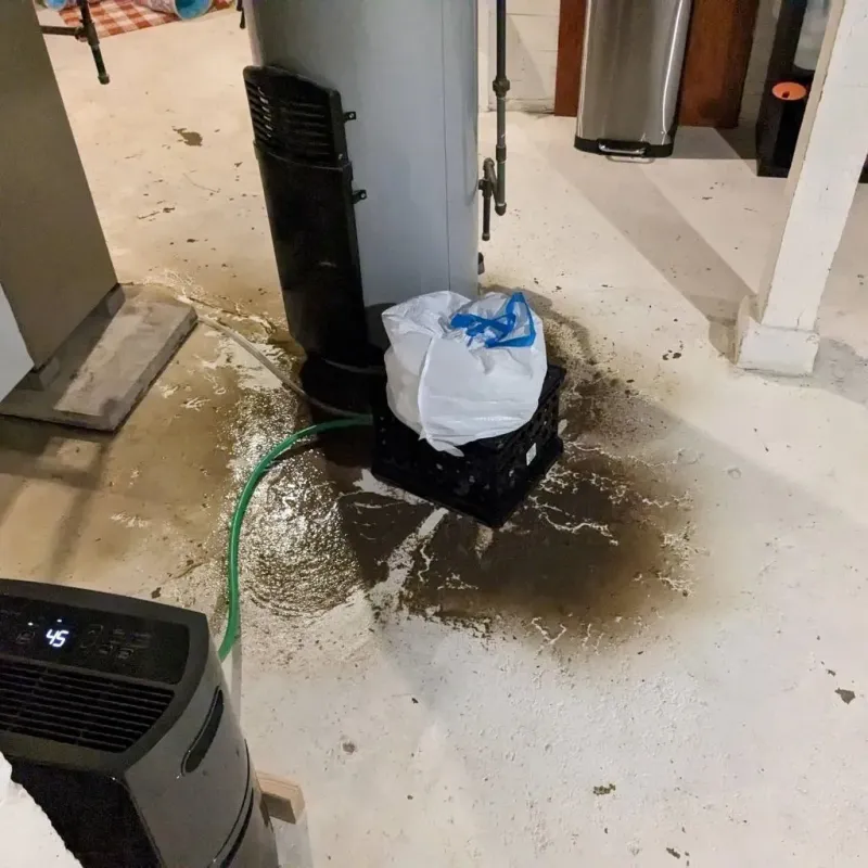 Sewage Backup Cleanup Service in Topsham, ME